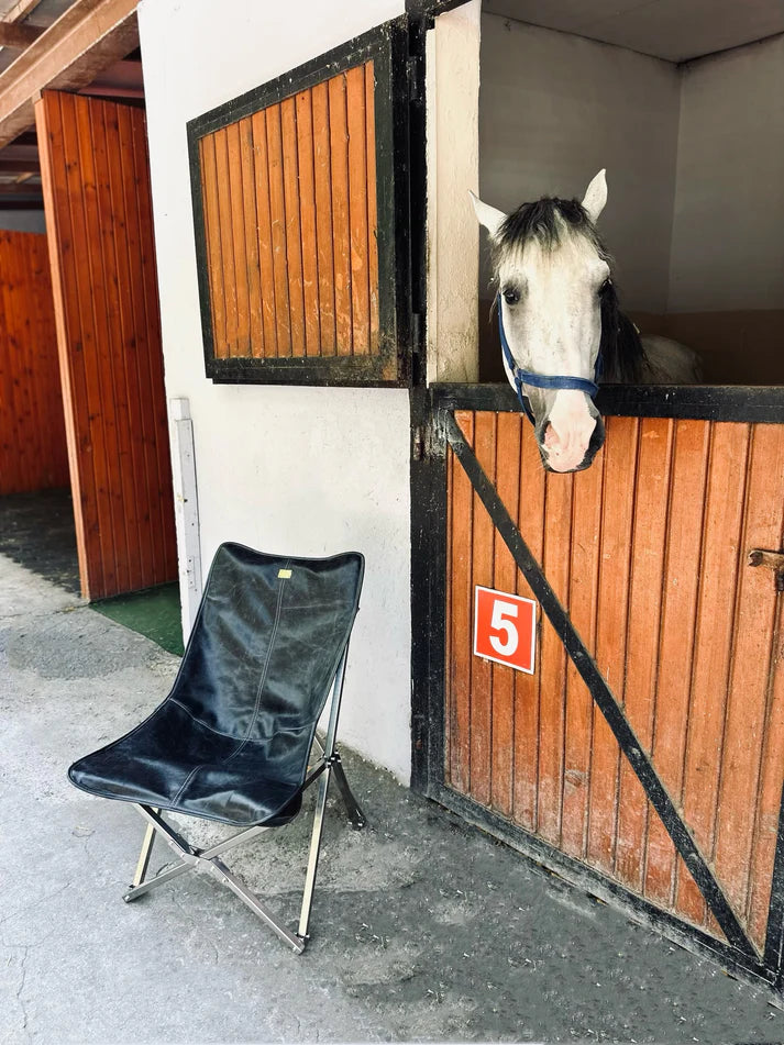 Eir Throne Hakiki Deri Sandalye & Paslanmaz Çelik İskelet